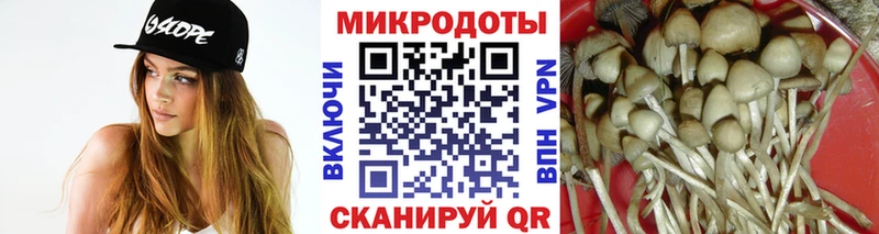 Галлюциногенные грибы GOLDEN TEACHER  как найти   Гаврилов Посад 